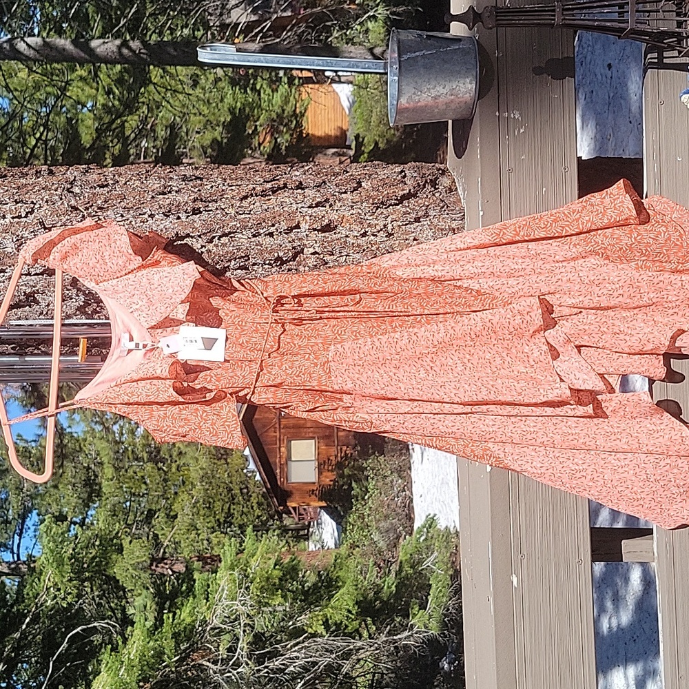 NWT Joie dress